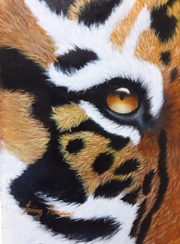 Oils, Tiger's Eye.